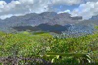 Hinchinbrook Island Tour