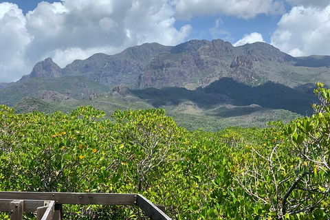 Hinchinbrook Island Tour - Attractions 0