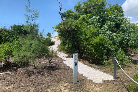 Hinchinbrook Island Tour - Attractions 1