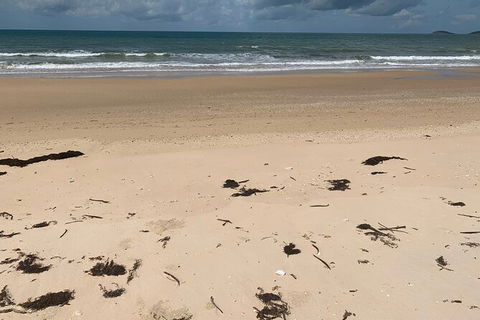 Hinchinbrook Island Tour - Attractions 6