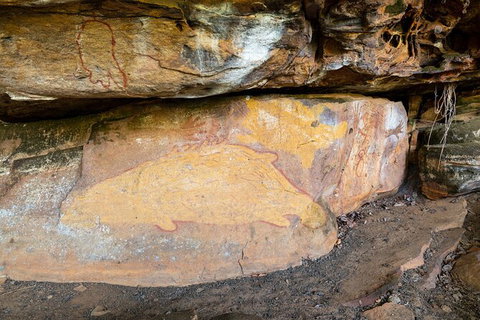Half Day Aboriginal Rock Art Experience In Queensland - Attractions 3