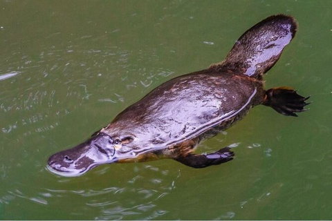 8-Day Outback Experience From Queensland - Attractions 15