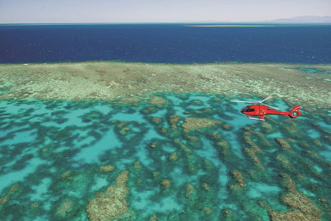 Day Tour To Kuranda, Rainforest And Port Douglas With Flight - Attractions 0
