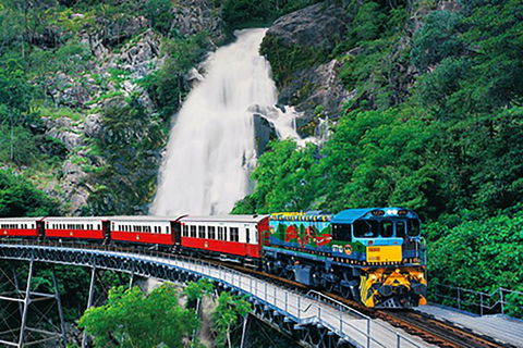 Day Tour To Kuranda, Rainforest And Port Douglas With Flight - Attractions 4