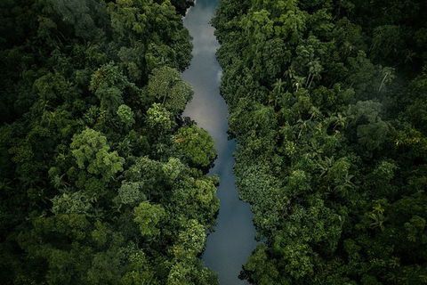 World Heritage Highlights: Reef/Daintree/Cape Tribulation - Attractions Las Vegas 10