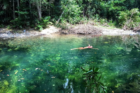 World Heritage Highlights: Reef/Daintree/Cape Tribulation - Attractions Las Vegas 4