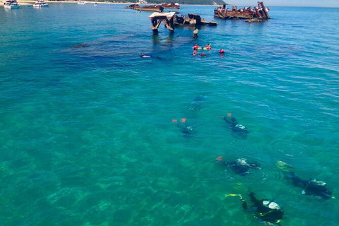 Adventure Moreton Island Scuba Dive Tour - Attractions 0