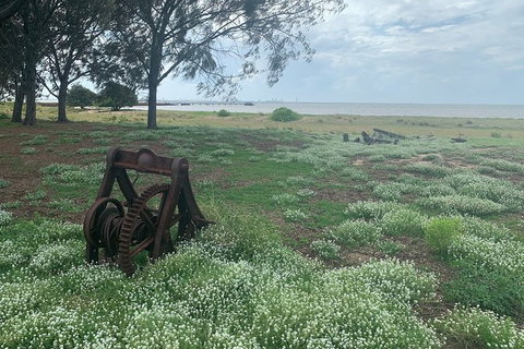 Half Day St. Helena Island Tour - Attractions 1