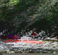 Mossman Gorge Adventure Day - Attractions