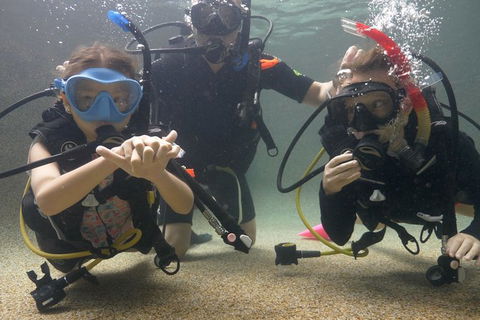 Scuba Kids- Padi Bubblemaker Course - Attractions 4