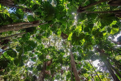 5 Day Australia Retreat: Queensland Daintree - Attractions 4