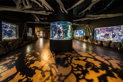 Cairns Aquarium By Twilight With 3 Course Dinner - Attractions 7