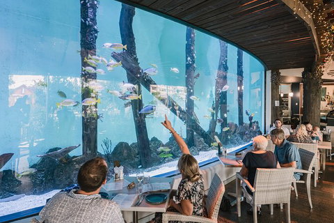 Cairns Aquarium By Twilight With 3 Course Dinner - Attractions 1