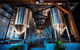 Cairns Brewery Tours - thumb 5
