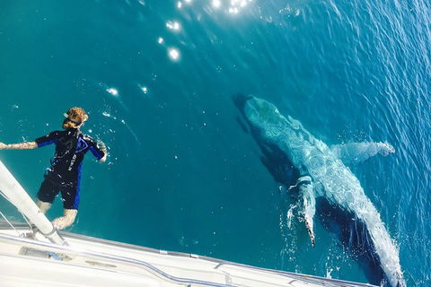 Remote Fraser Island & Whale Experience - Attractions 4
