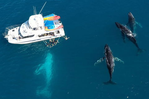 Remote Fraser Island & Whale Experience - Attractions 3