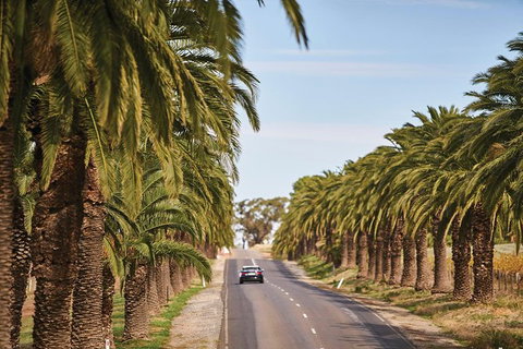 Barossa Valley Highlights From Barossa Valley Including Wine And Cheese Tasting - Attractions 2