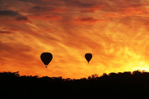 Barossa Valley Hot Air Balloon Ride With Breakfast - Attractions 5