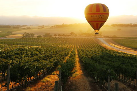 Barossa Valley Hot Air Balloon Ride With Breakfast - Attractions 3