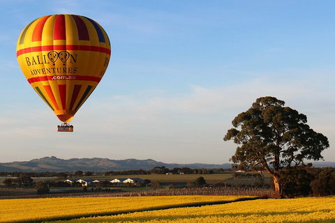 Barossa Valley Hot Air Balloon Ride With Breakfast - Attractions 4