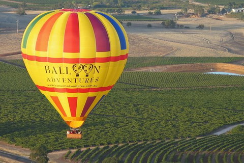 Barossa Valley Hot Air Balloon Ride With Breakfast - Attractions 1