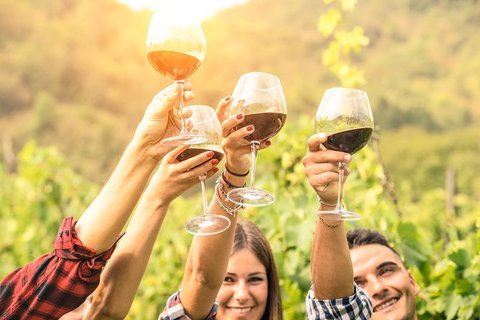 Barossa Valley Cellar Doors Luxury Wine Tour - Attractions 3