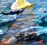 Coffin Bay Oysters Ocean  Nature Tour - Attractions Las Vegas