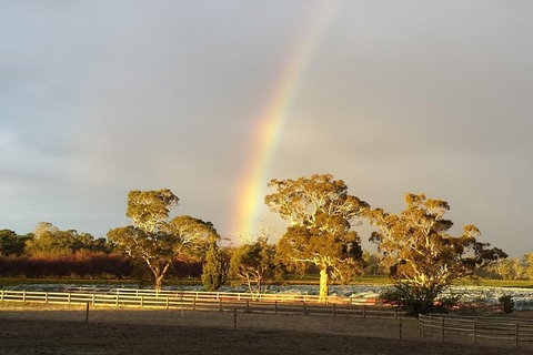 Structured Wine Tasting And Platter - Attractions 3