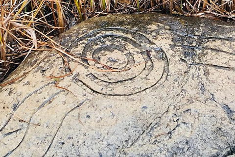 Adelaide Cultural Safari - Private Charters - Attractions Las Vegas 2