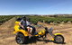 Ultimate Barossa Adventure Day Tour For 2 - Combined Mustang Convertible-Trike - thumb 3