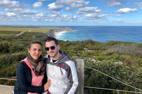 NEW TOUR - Flinders Chase Tour (Recovering From Fires) - Attractions 3
