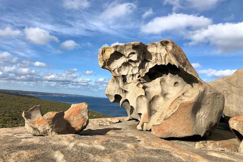 NEW TOUR - Flinders Chase Tour (Recovering From Fires) - Attractions 2