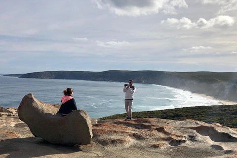 NEW TOUR - Flinders Chase Tour (Recovering From Fires) - Attractions 5