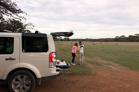 NEW TOUR - Flinders Chase Tour (Recovering From Fires) - Attractions 6