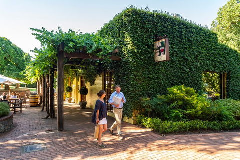 Yalumba Signature Tour - Attractions 3