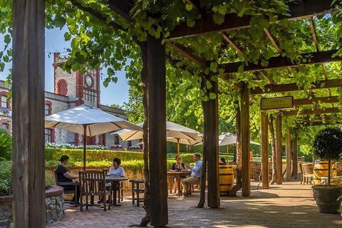 Yalumba Signature Tour - Attractions 4