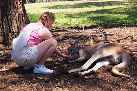 Adelaide Driving Tour - Attractions Las Vegas 0