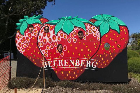 Adelaide Driving Tour - Attractions Las Vegas 1