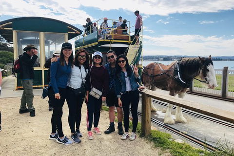 Adelaide Driving Tour - Attractions Las Vegas 3