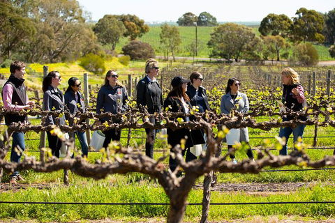 Walk, Taste, Graze - Experience At Pindarie - Attractions 2