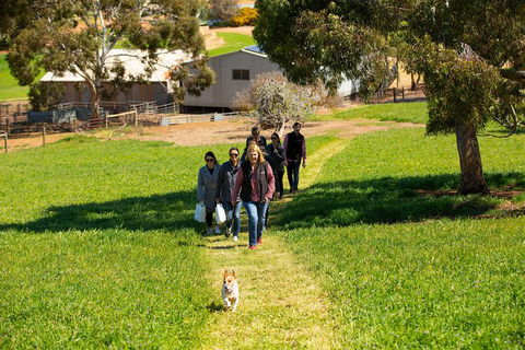 Walk, Taste, Graze - Experience At Pindarie - Attractions 7