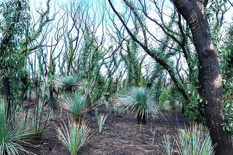 NEW TOUR - Kangaroo Island Road To Recovery Tour (1 Day/1 Night) - Attractions 4