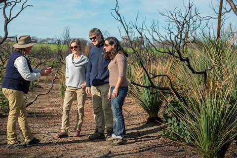 NEW TOUR - Kangaroo Island Road To Recovery Tour (1 Day/1 Night) - Attractions 0