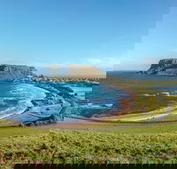 Cruise Ship Special from Burnie to Stanley and The Nut - Attractions