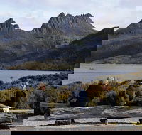 Cruise Ship Special from Burnie to Cradle Mountain - Attractions