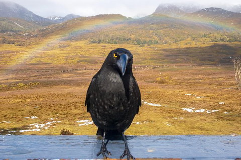 Cradle Mountain Park Explorer - Attractions 5