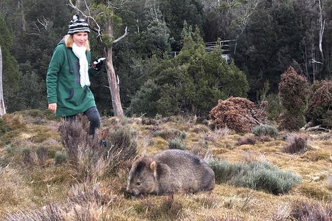 Shore Excursion - Cradle Mountain Day Tour From Burnie - Attractions 1