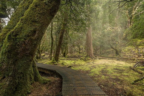 Shore Excursion - Cradle Mountain Day Tour From Burnie - Attractions 3