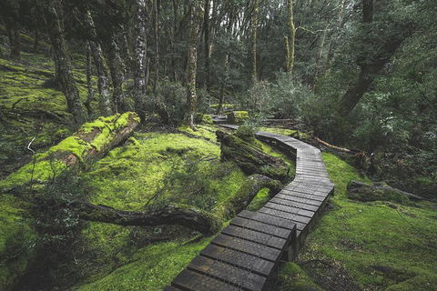 Shore Excursion - Cradle Mountain Day Tour From Burnie - Attractions 2