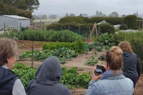 Unearthed Chefs Tour - Attractions 17